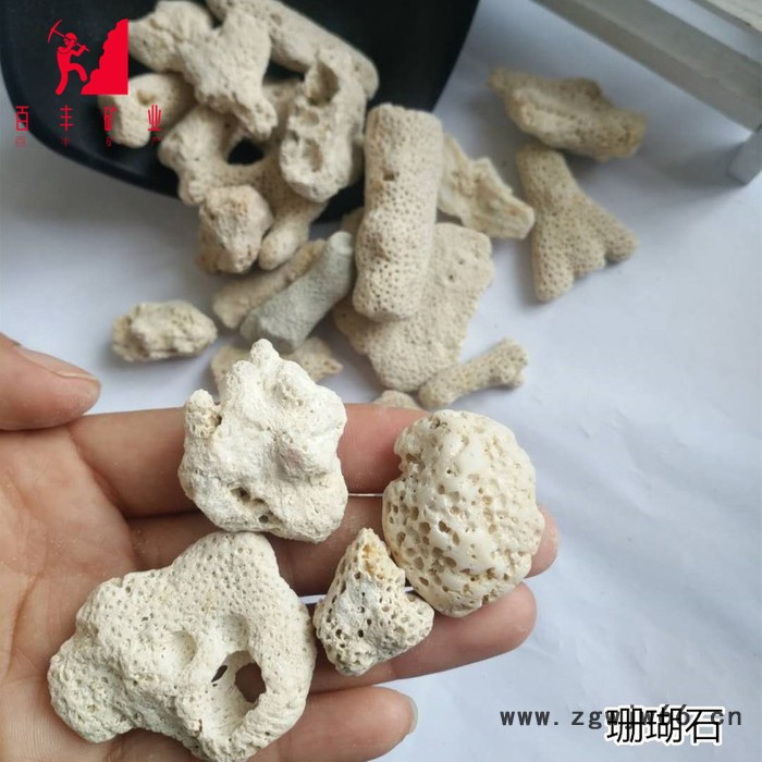 源头厂家 珊瑚骨水族过滤材料 水族造景草缸过滤材料 珊瑚石图6