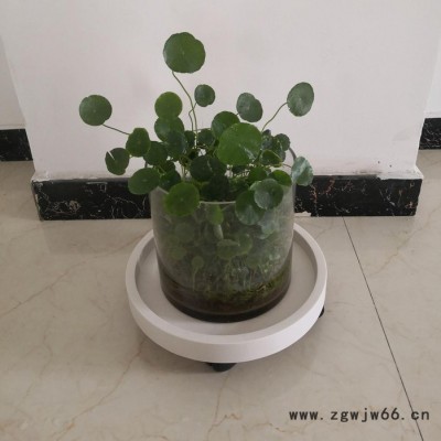 带万向轮花盆底托 万向轮花盆托盘 花盆轮托生产厂家 塑料存水托盘 加强承重