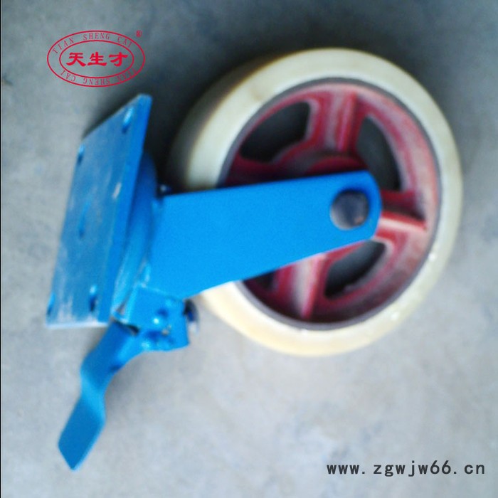 供应天生才12寸超重型铁芯尼龙单刹脚轮万向轮 万向脚轮图2