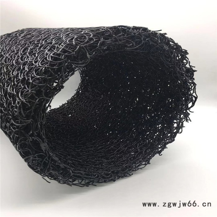 厂家出售 隧道排水塑料盲沟 污水处理过滤材料 排水塑料盲管图4