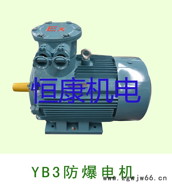 供应万勤YB3（G）高原防爆电动机三相异步电动机图2