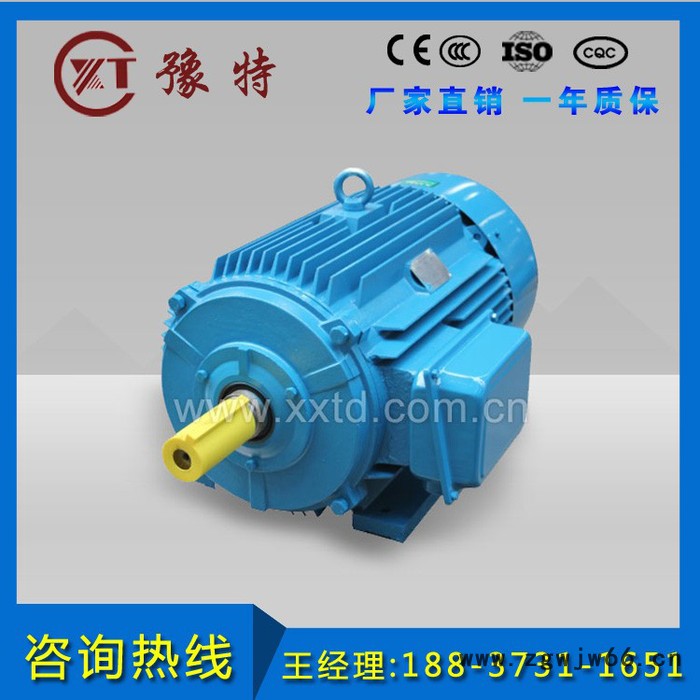 豫特三相异步电动机，力矩三相异步电动机，频调速三相异步电动机，多速三相异步电动机，图2