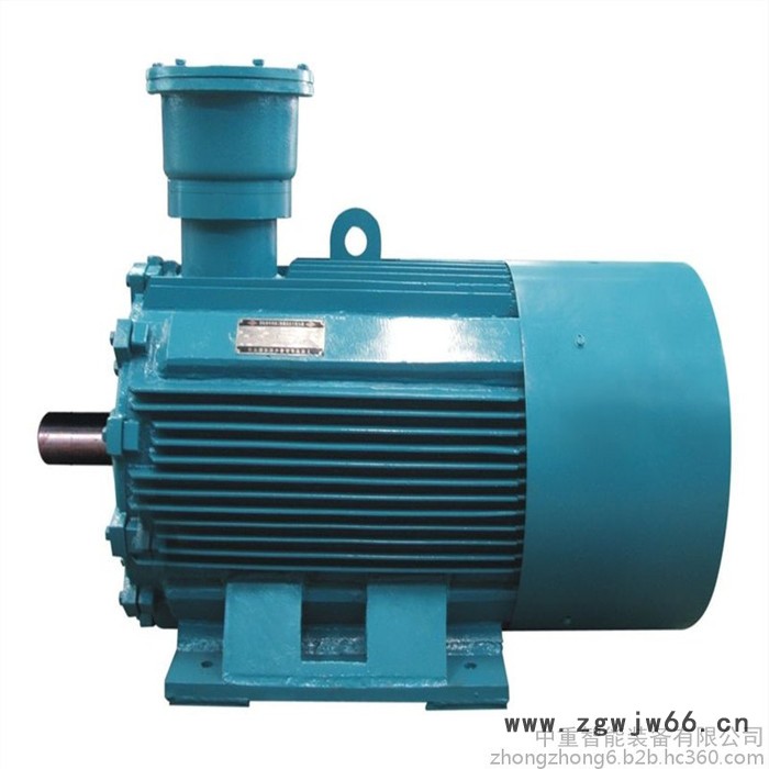 厂家质保永磁电动机 使用周期长永磁电动机  TBVF-90/40YC(1140)永磁电动机图8