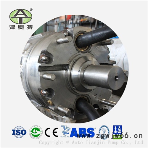 津奥特自主研发不锈钢三相异步潜水电动机 津奥特潜水电动机图4