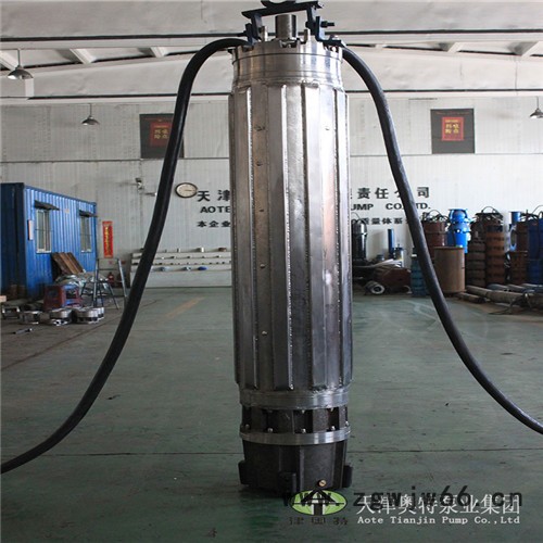 津奥特自主研发不锈钢三相异步潜水电动机 津奥特潜水电动机图2
