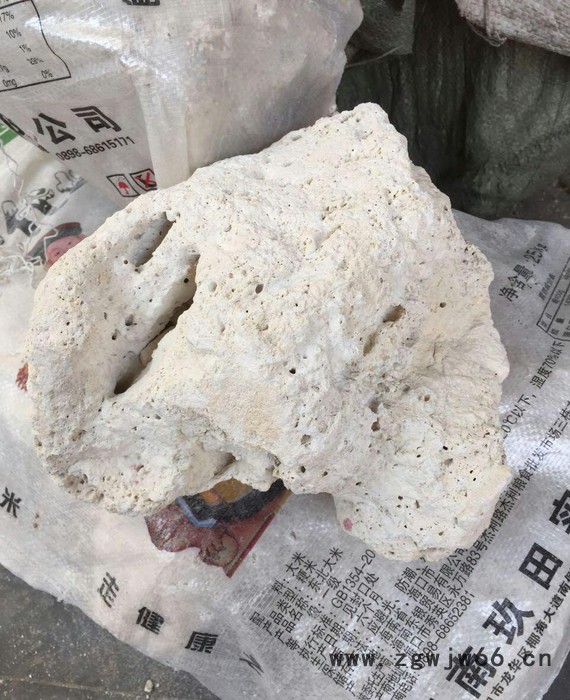 水族珊瑚石珊瑚砂水族造景草缸过滤材料造景天然石