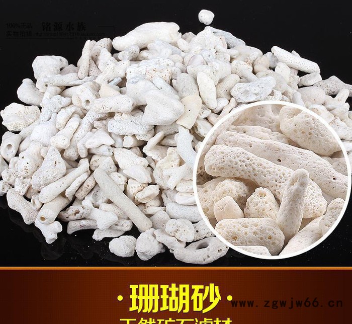 水族珊瑚石珊瑚砂水族造景草缸过滤材料造景天然石图3