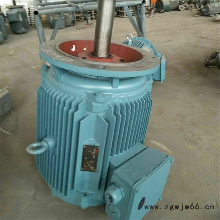赢华YLT132S-6-3KW冷却塔电动机 YLT132M1电动机图4