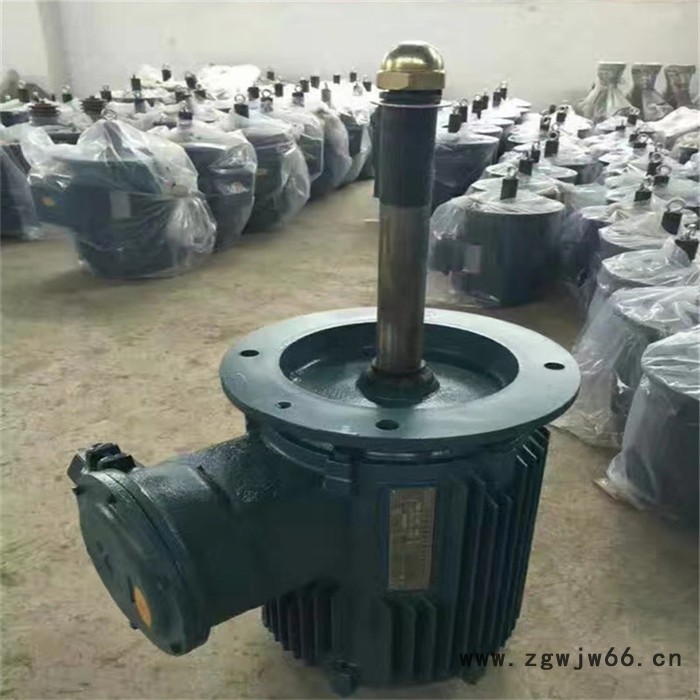 赢华YLT132S-6-3KW冷却塔电动机 YLT132M1电动机图7