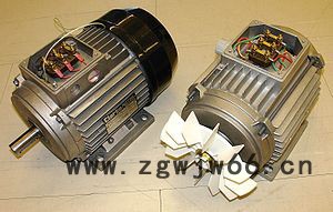 异步电动机 水泵厂家 电机厂家 嘉沐斯Y250M-2 异步电动机图2