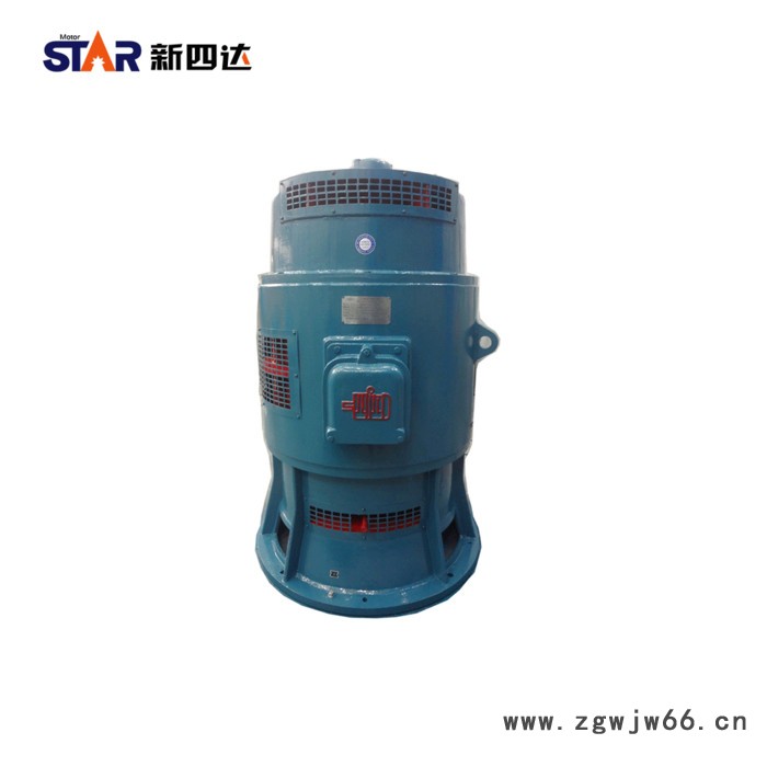 YSL系列 立式三相异步电动机 高压异步电动机图2