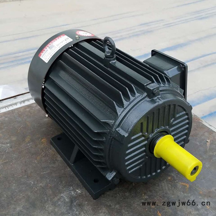 【变频电动机】金力特YVF2系列变频调速三相异步电动机图2