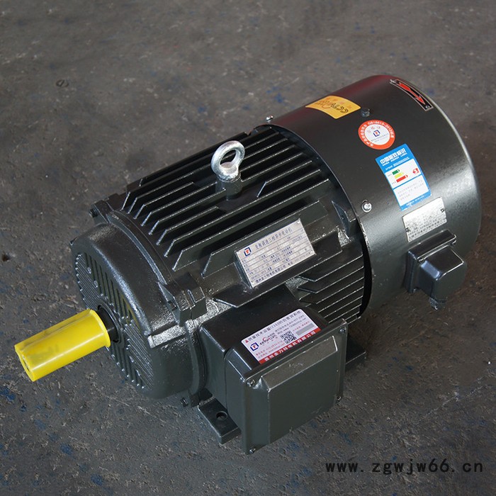 【变频电动机】金力特YVF2系列变频调速三相异步电动机图5