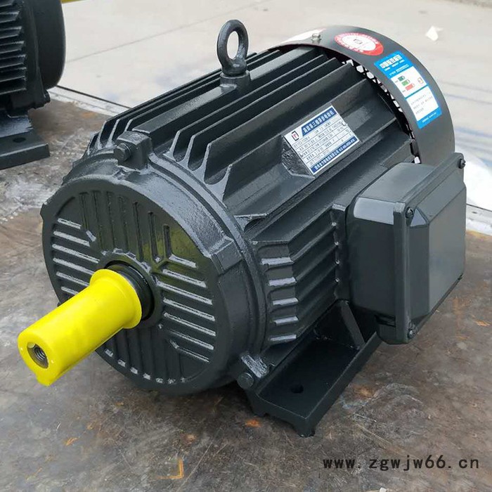 【变频电动机】金力特YVF2系列变频调速三相异步电动机图4