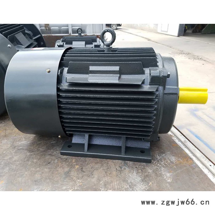 【变频电动机】金力特YVF2系列变频调速三相异步电动机图3