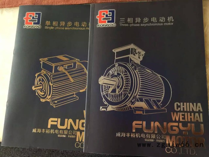 厂家直供丰裕机电机械设备用电动机图6