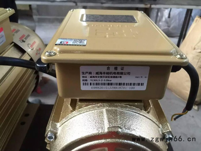 厂家直供丰裕机电机械设备用电动机