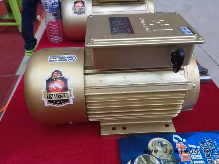 厂家直供丰裕机电机械设备用电动机图7