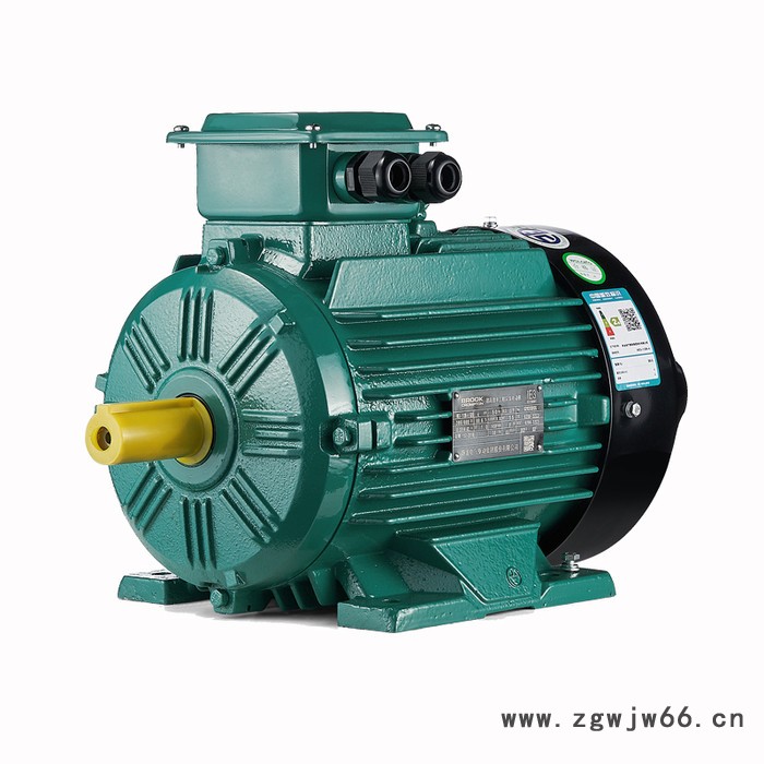 卧龙brookcrompton S20系列WE3 YE3三相异步电动机图5
