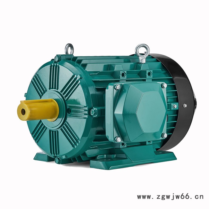 卧龙brookcrompton S20系列WE3 YE3三相异步电动机图3