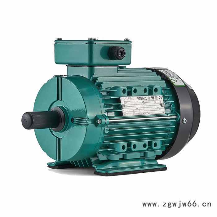 卧龙brookcrompton S20系列WE3 YE3三相异步电动机图2