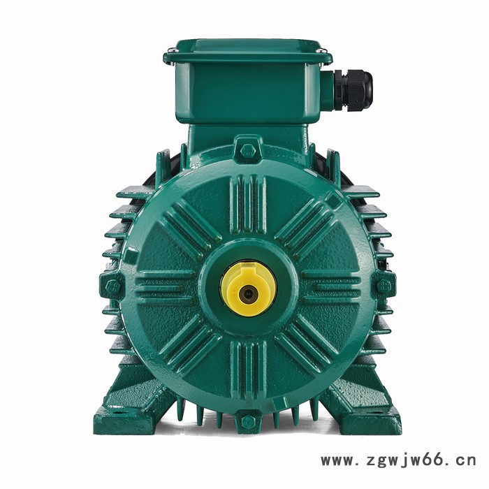 卧龙brookcrompton S20系列WE3 YE3三相异步电动机图4