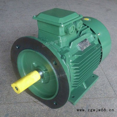 中煤 Y2 电动机 Y2电动机技术参数 Y2电动机适用范围