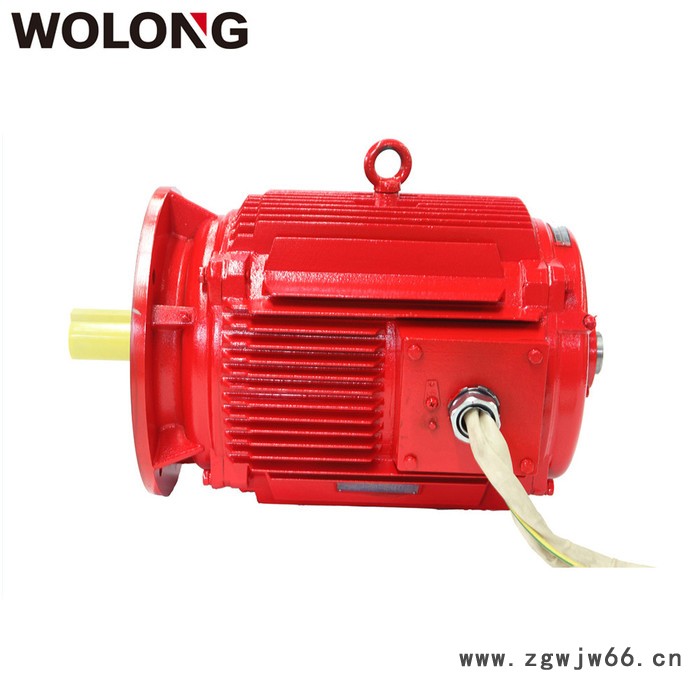 WOLONG/卧龙 YDT系列 变极多速三相异步电动机 地铁隧道风机电动机 电动工具用电动机图2