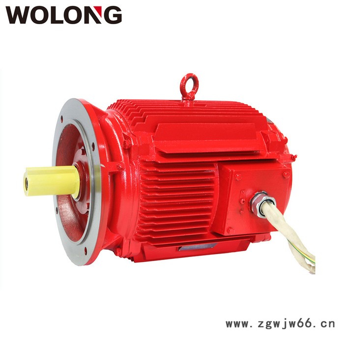 WOLONG/卧龙 YDT系列 变极多速三相异步电动机 地铁隧道风机电动机 电动工具用电动机图3