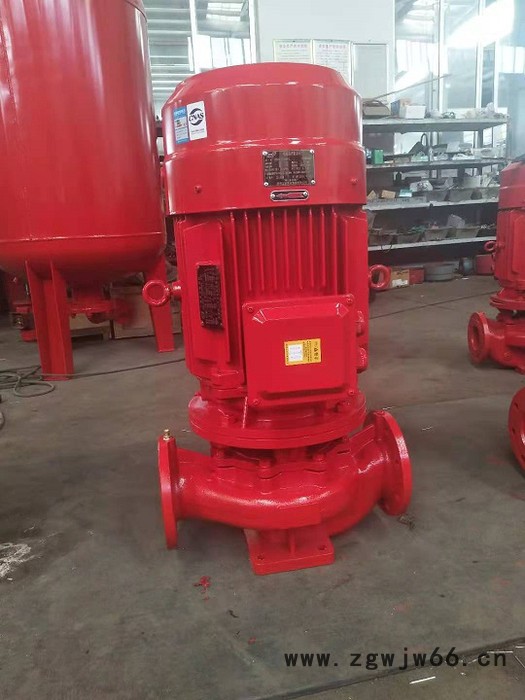 电动机消防泵  立式消防泵 XBD9.0/40G-L 型号齐全图3