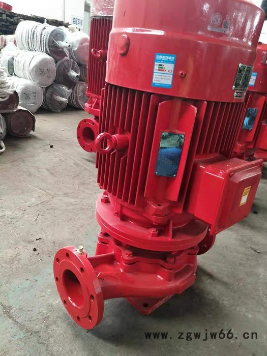 电动机消防泵  立式消防泵 XBD9.0/40G-L 型号齐全图4
