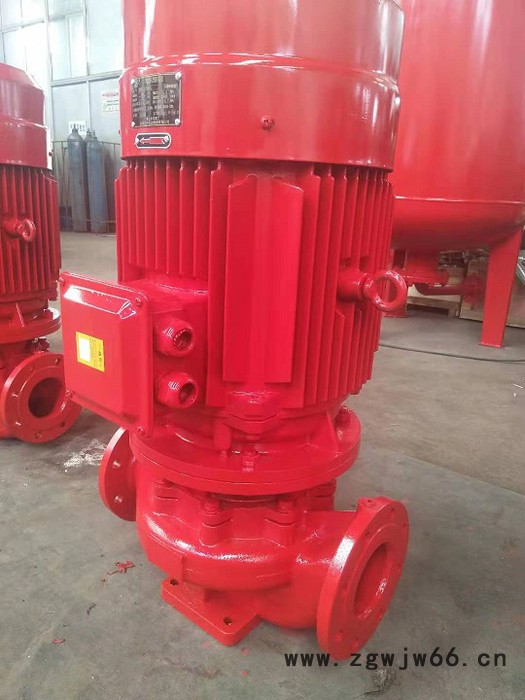 电动机消防泵  立式消防泵 XBD9.0/40G-L 型号齐全图2