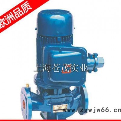 电动机油泵 电动机油泵12v YG32-100(I)型   美观