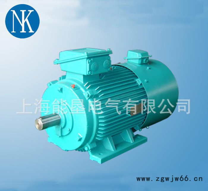供应上海能垦YZP315M-4 132KW起重及冶金用变频调速电动机图2
