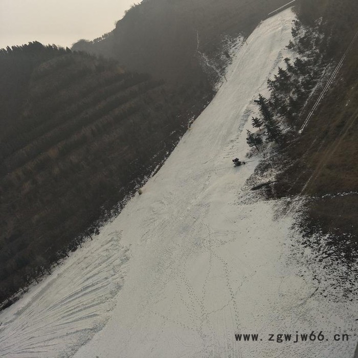 智辰多喷嘴大功率国产炮式造雪机适合南方高温造雪图2