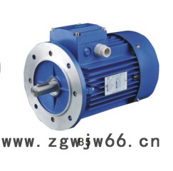 三相异步电动机 **价格优惠图1