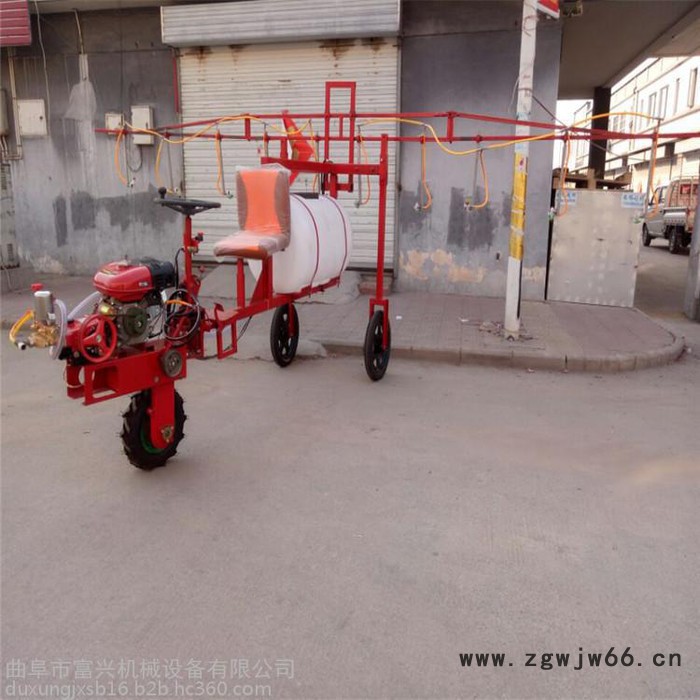 手推式汽油打药机   多喷嘴打药机   自走式喷雾器价格图4