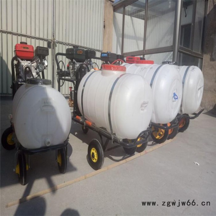 手推式汽油打药机   多喷嘴打药机   自走式喷雾器价格图2