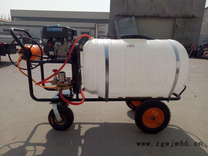 手推式汽油打药机   多喷嘴打药机   自走式喷雾器价格图7