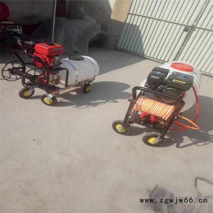 手推式汽油打药机   多喷嘴打药机   自走式喷雾器价格图6