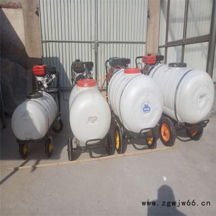 手推式汽油打药机   多喷嘴打药机   自走式喷雾器价格图8