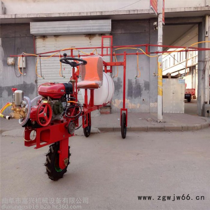 手推式汽油打药机   多喷嘴打药机   自走式喷雾器价格图3