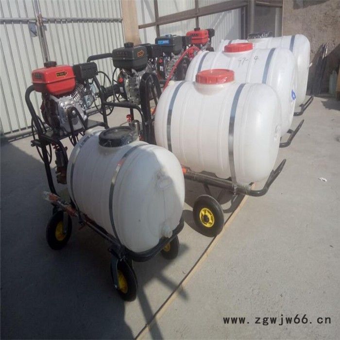 手推式汽油打药机   多喷嘴打药机   自走式喷雾器价格图5