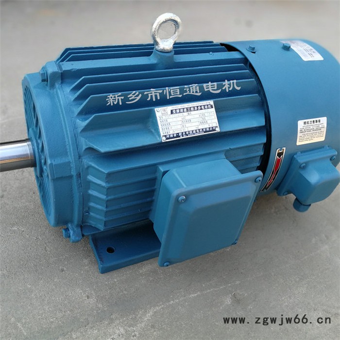 千业牌 耐寒冷电机 低温 耐潮湿电动机 极寒冷地区用 防腐蚀电动机图4