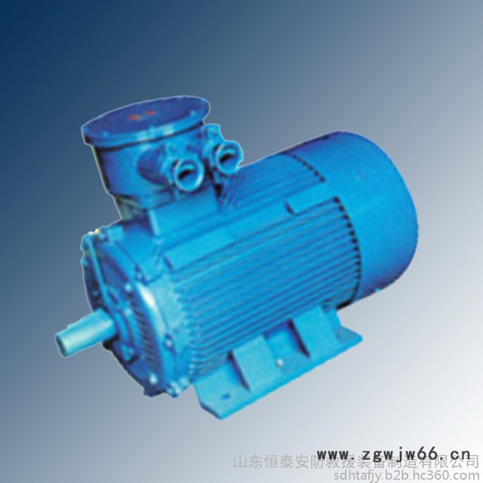 YB2D系列隔爆型变极多速三相异步电动机图2
