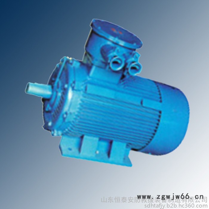 YB2D系列隔爆型变极多速三相异步电动机图5