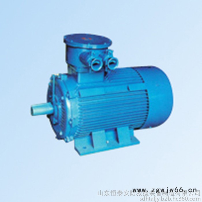 YB2D系列隔爆型变极多速三相异步电动机图4