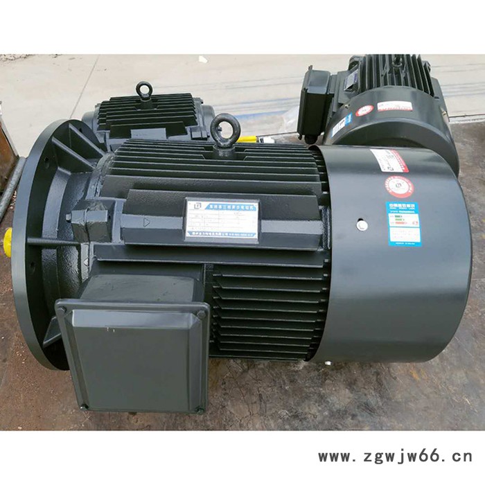 金力特YD90L-4/2变极多速三相异步电动机图4