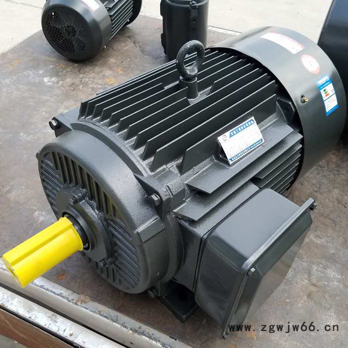 金力特YD90L-4/2变极多速三相异步电动机图6