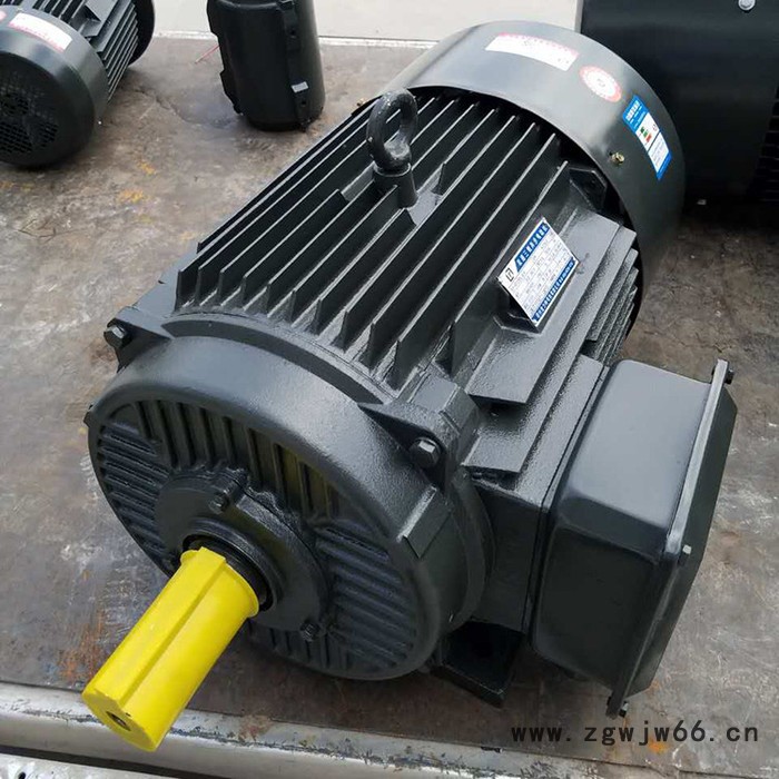 金力特YD90L-4/2变极多速三相异步电动机图2
